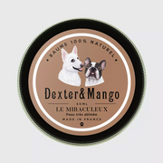 Le Miraculeux Dexter & Mango